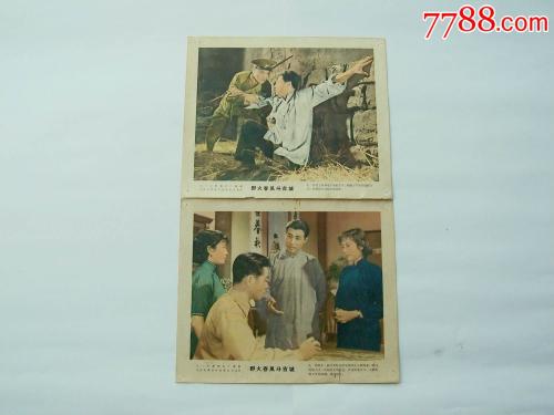做假新布伦瑞克省ID